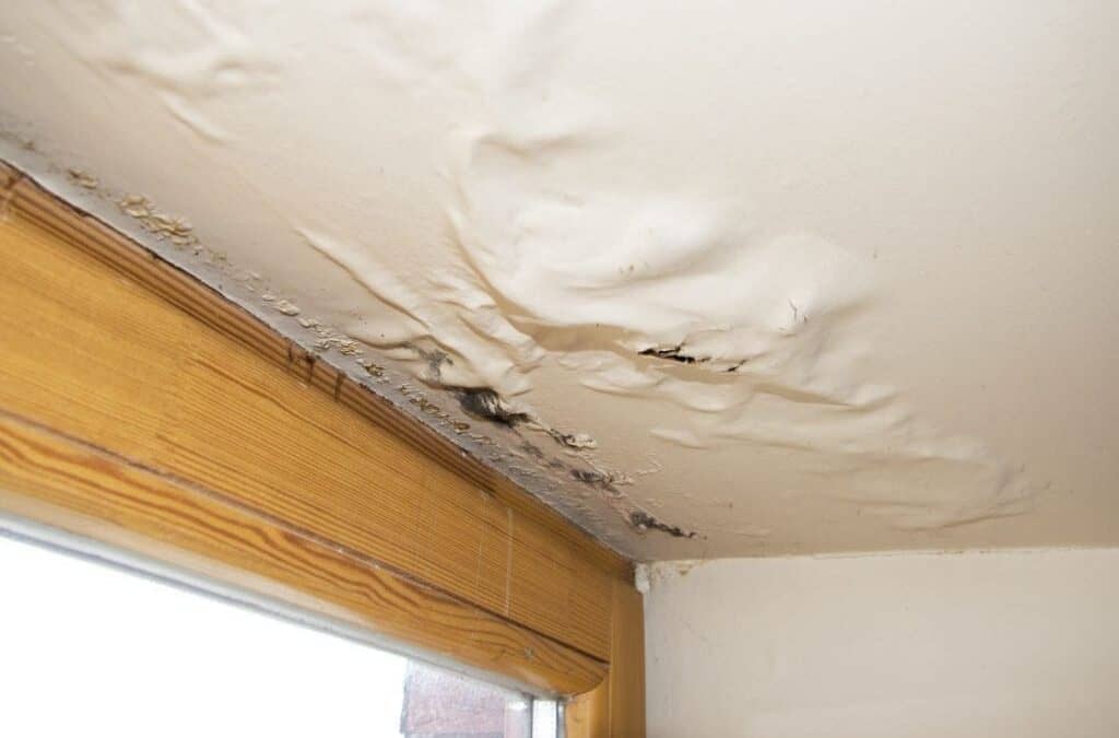 Interior Signs of Roof Damage: What to Look For & What to Do
