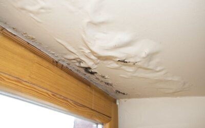 Interior Signs of Roof Damage: What to Look For & What to Do