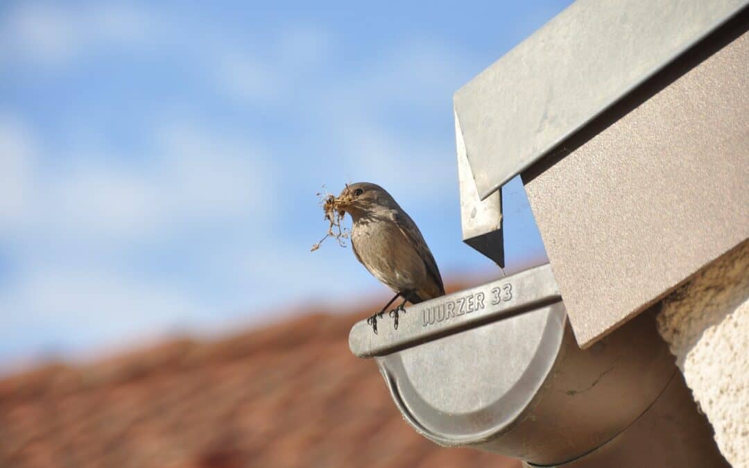 Gutter Repair in Hinsdale: What Homeowners Need to Know