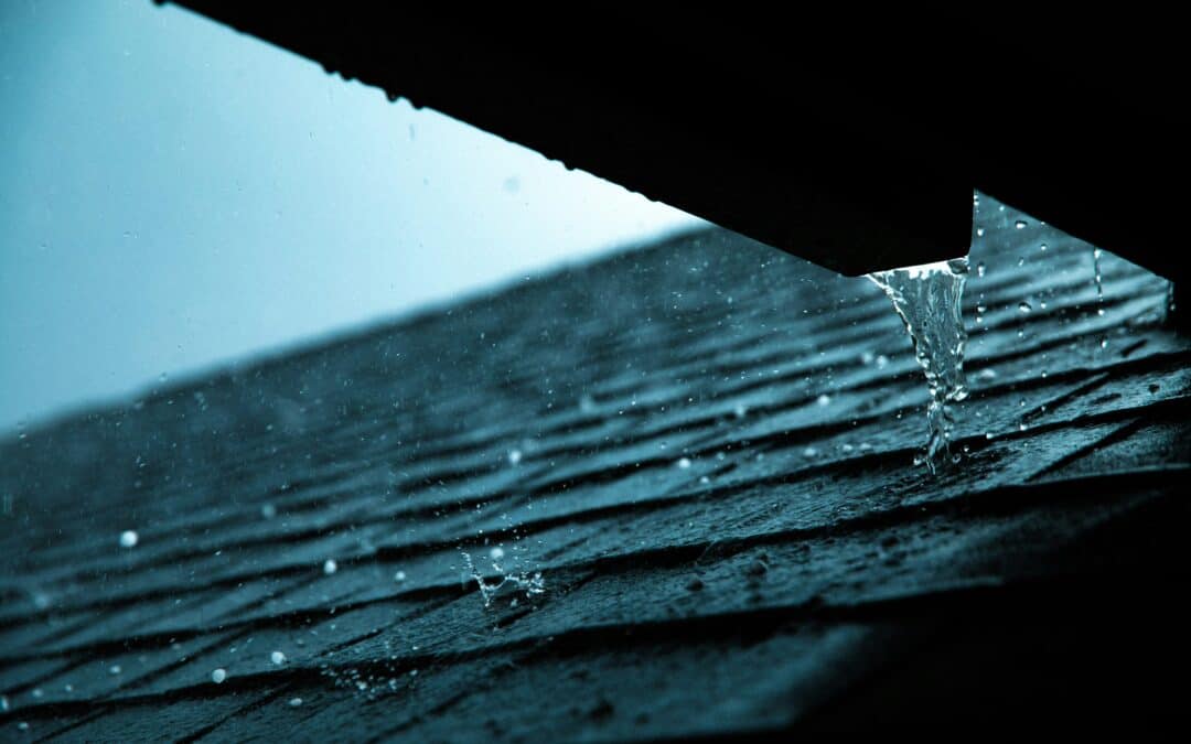 Are Hail-Resistant Shingles Worth It? What Chicago Area Homeowners Need to Know
